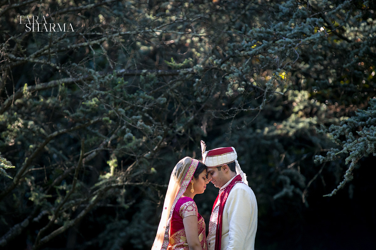 VirginiaIndianWedding-048