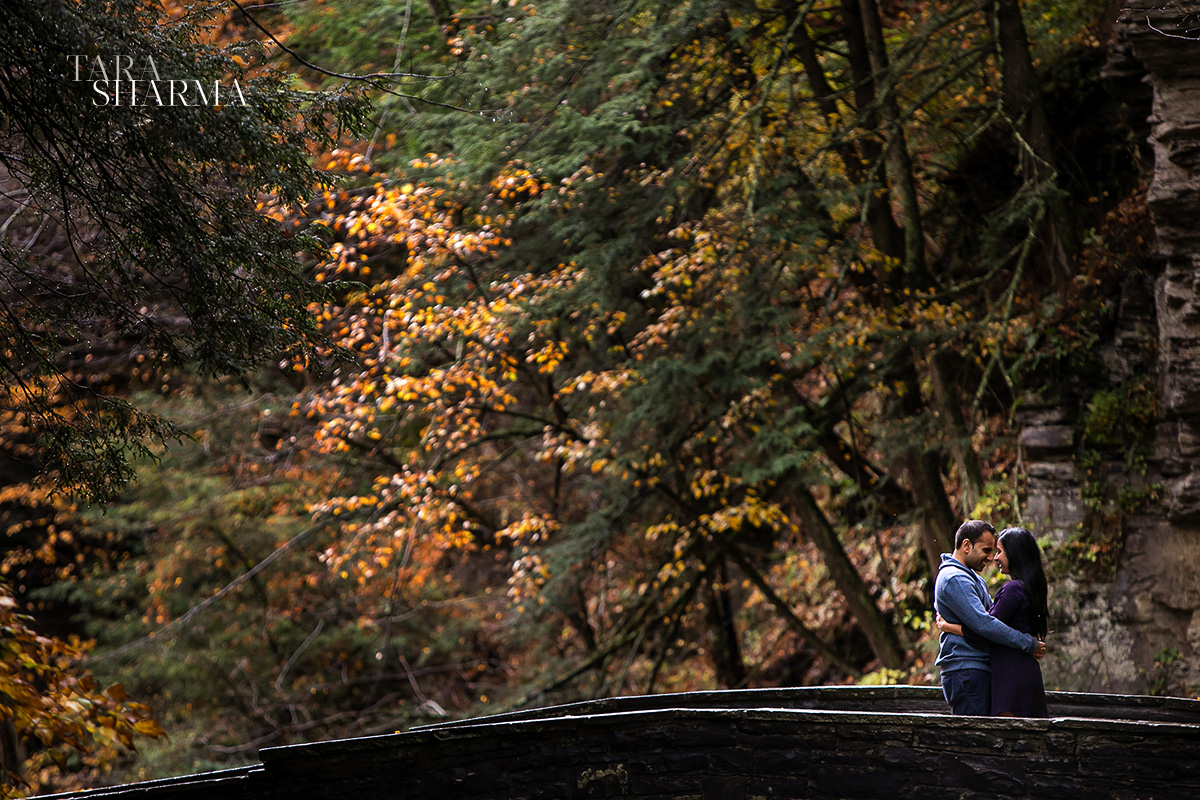 IthacaFingerlakesEngagementPhotos-008