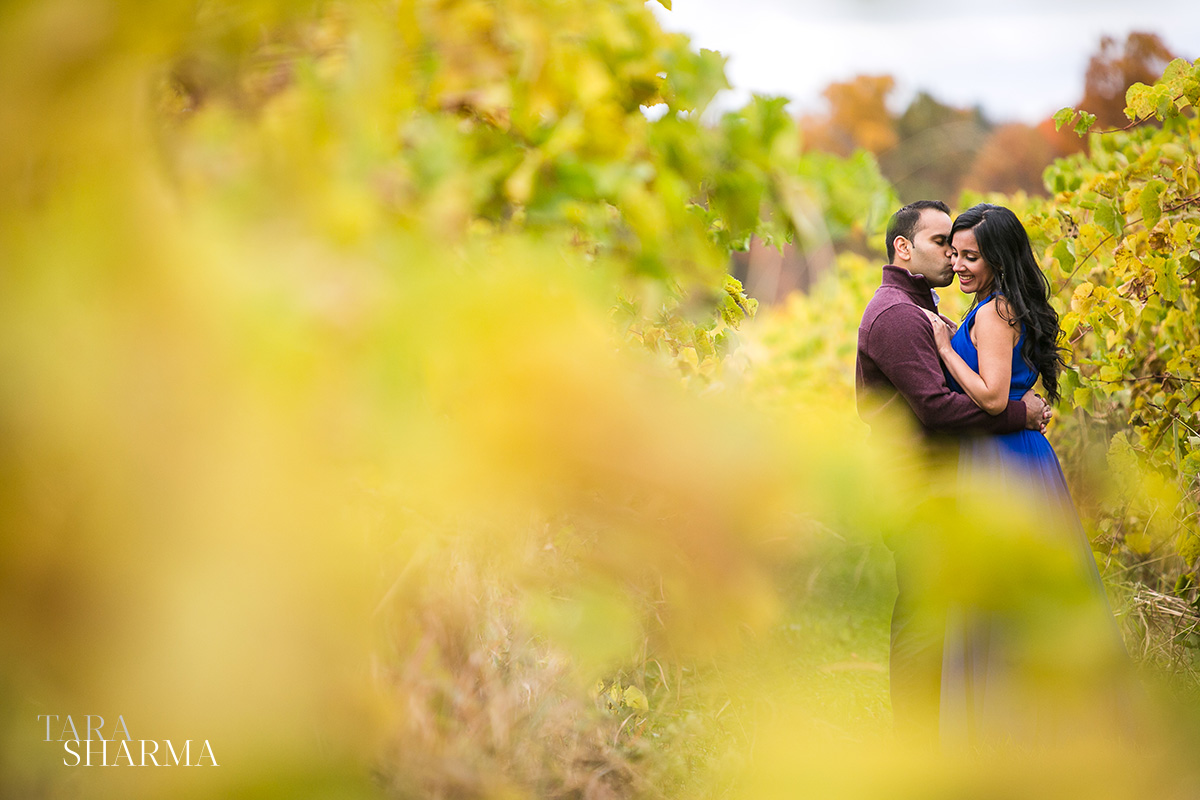 IthacaFingerlakesEngagementPhotos-036